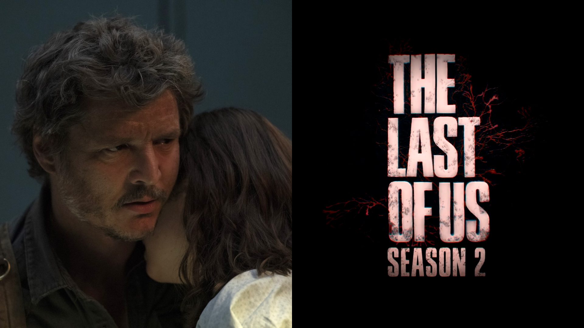 Segunda temporada de The Last of Us terá “coisas que vão chocar as pessoas”