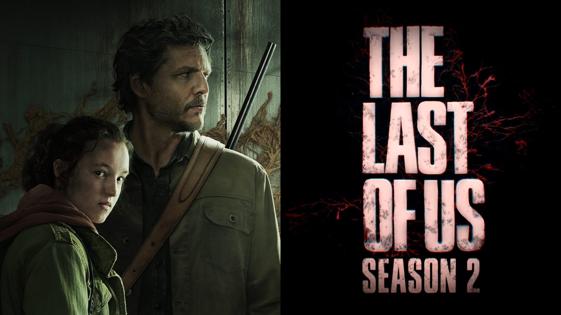 Filmagens da 2ª temporada de The Last of Us devem atrasar, admite showrunner