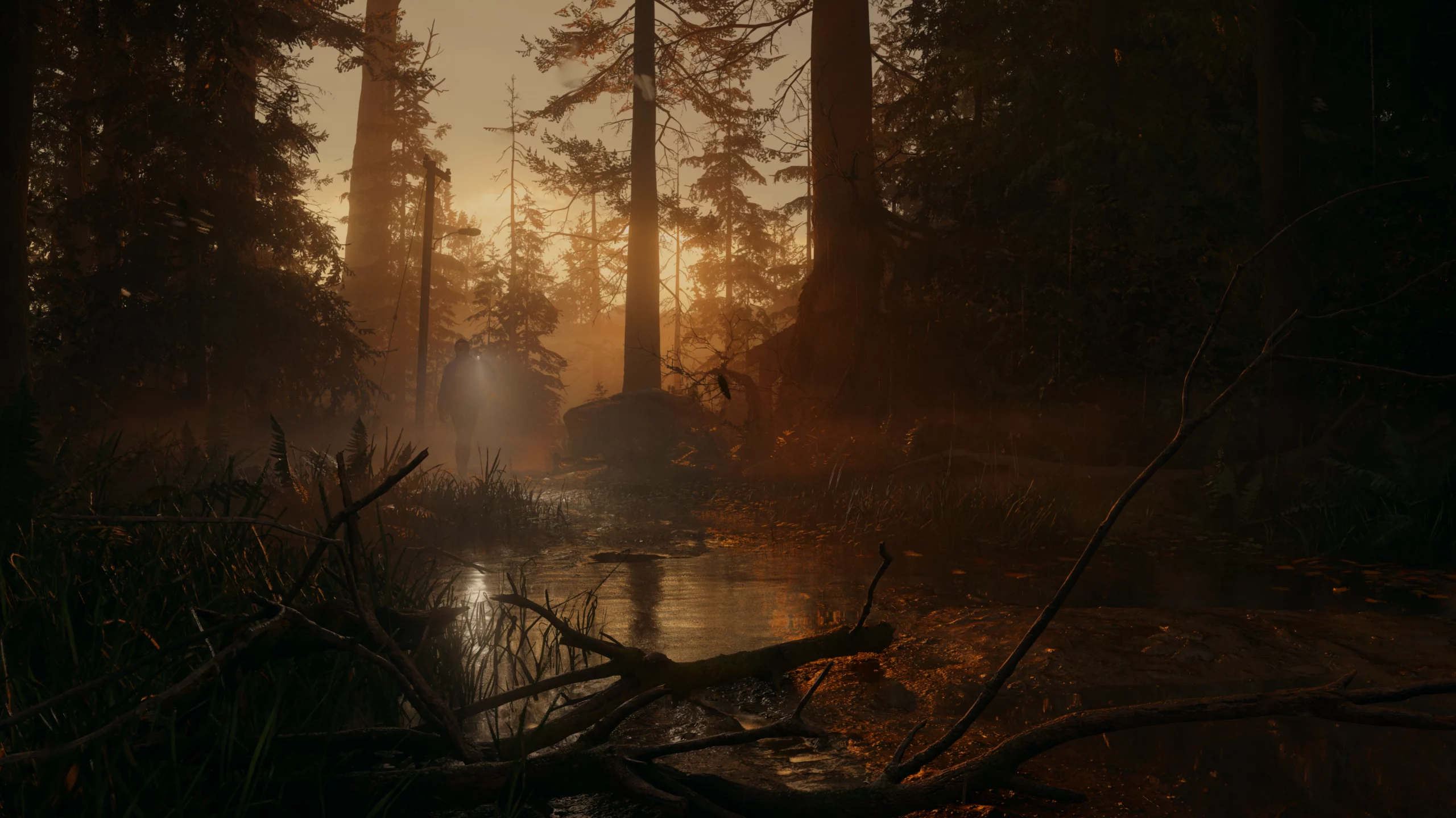 Hype! Nova revelação de Alan Wake 2 na Gamescom