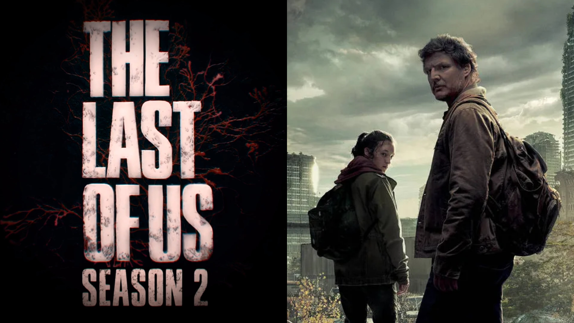 The Last Of Us (2ª Temporada) - 2024