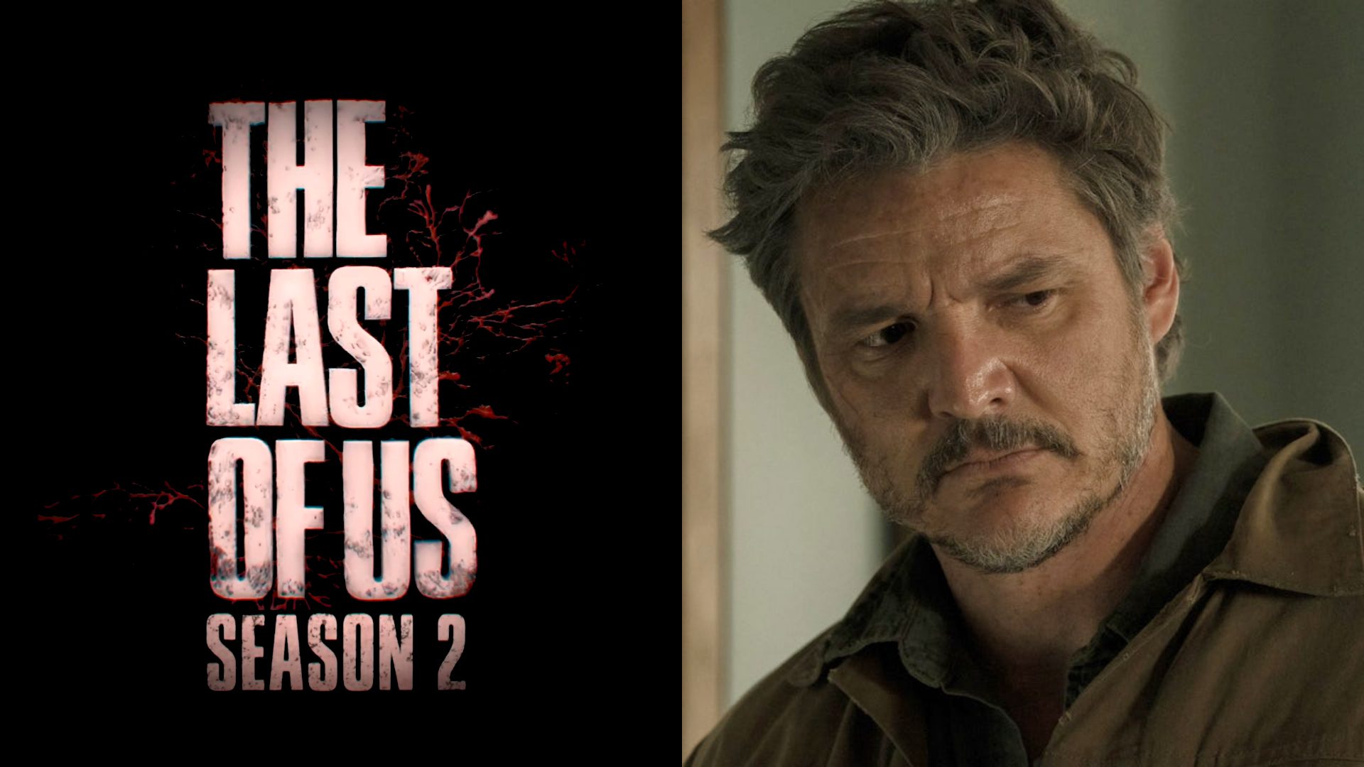 Filmagens da 2ª temporada de The Last of Us HBO supostamente adiadas para fevereiro de 2024