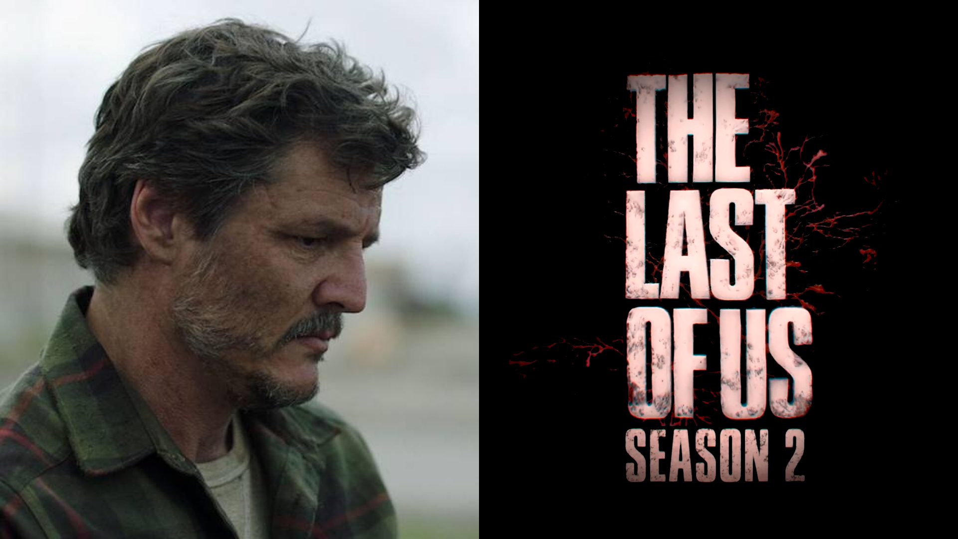 É oficial: The Last of Us já tem 2ª temporada confirmada!