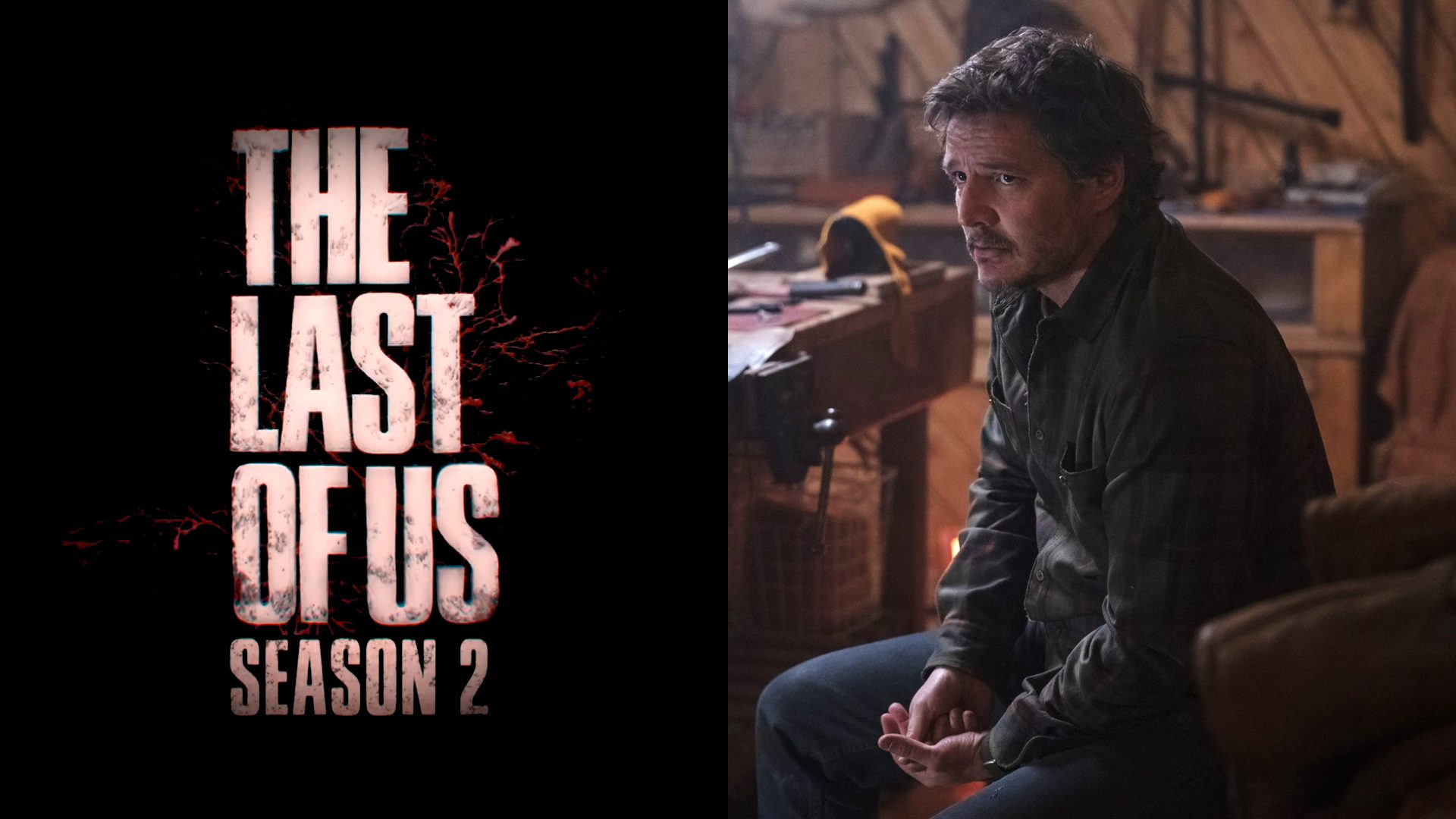 Segunda temporada de The Last of Us entrará em produção no início