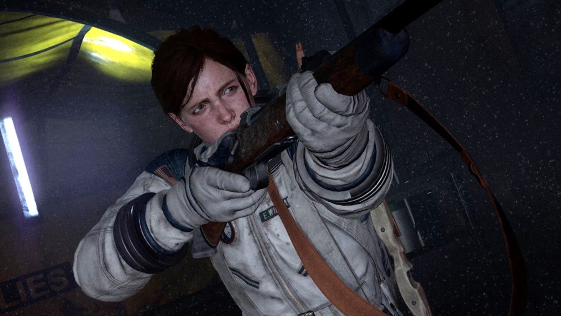 ellie from the last of us part II Personagens de games, The last