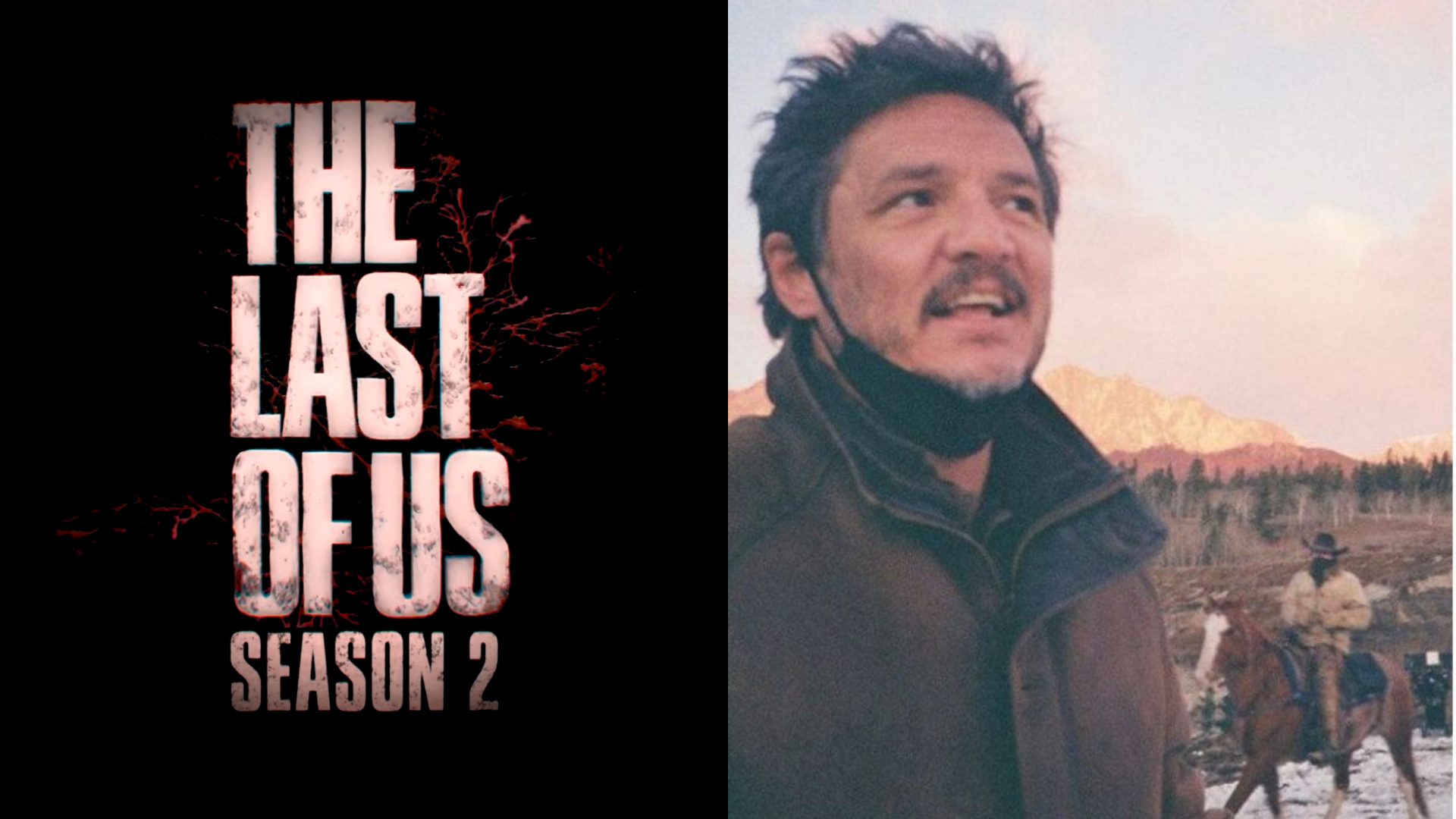 Pedro Pascal terminou de filmar The Last of Us HBO, afirma insider